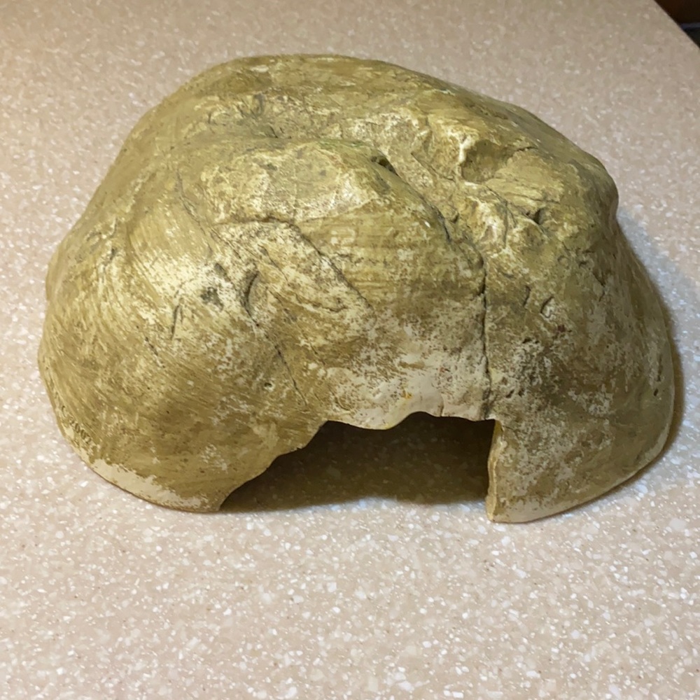 Medium resin reptile hide box